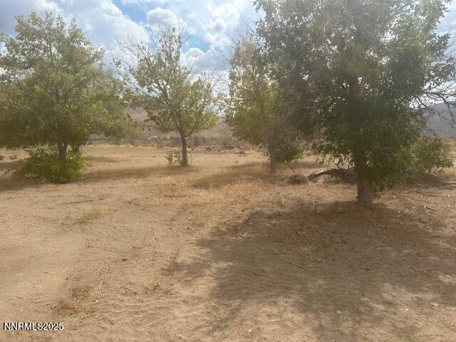 38 Burcham Flat Road Coleville, CA 96107 - Photo 16 of 39 a view of a yard with a tree
