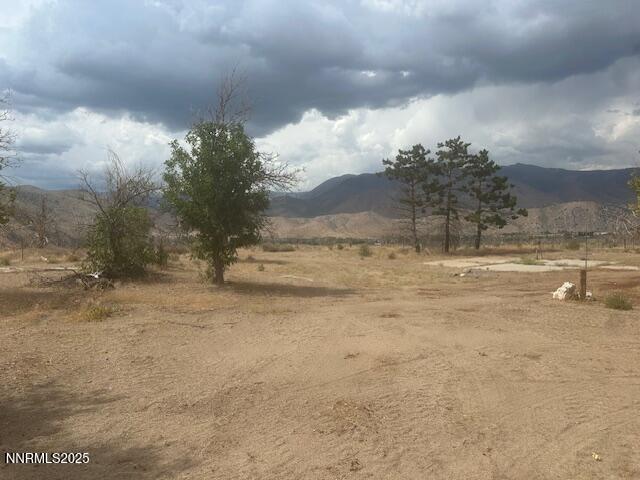 38 Burcham Flat Road Coleville, CA 96107 - Photo 27 of 39 a view of a yard with an trees