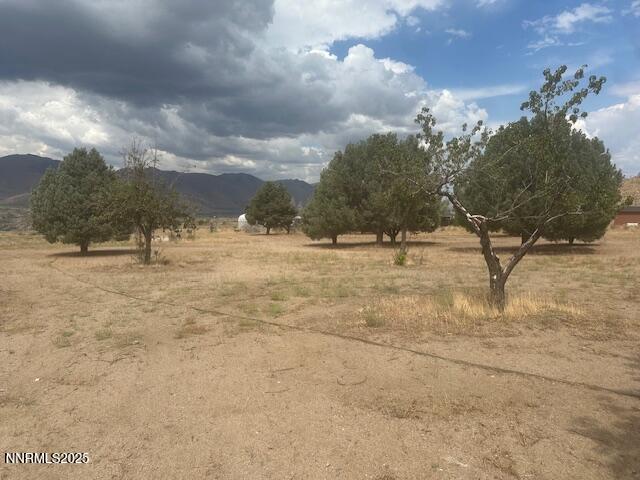 38 Burcham Flat Road Coleville, CA 96107 - Photo 28 of 39 a view of outdoor space with trees