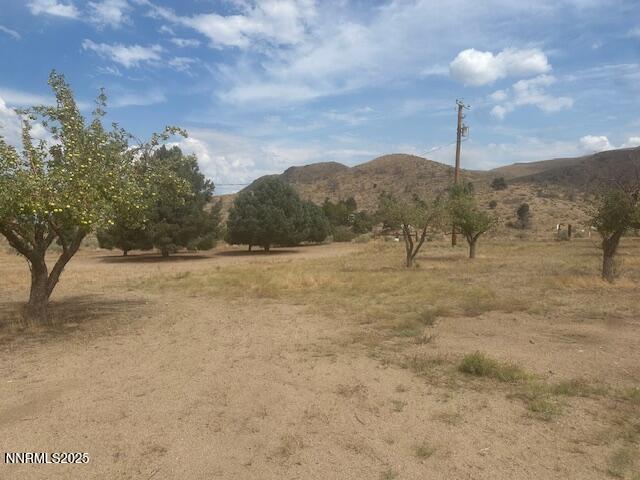38 Burcham Flat Road Coleville, CA 96107 - Photo 4 of 39 a view of a yard with a tree
