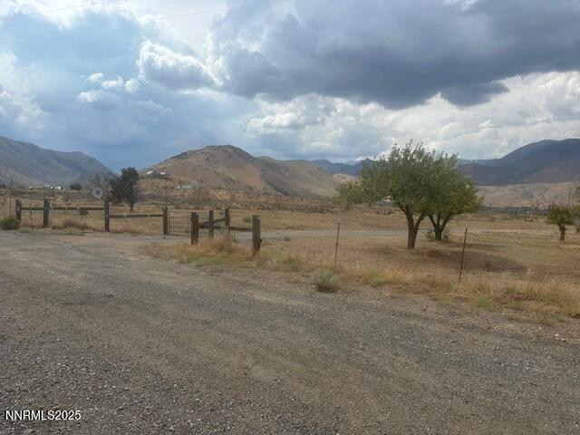 38 Burcham Flat Road Coleville, CA 96107 - Photo 7 of 39 a view of a yard