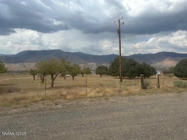 38 Burcham Flat Road Coleville, CA 96107 - Photo 8 of 39 a view of a yard with a staircase