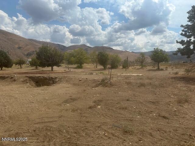 38 Burcham Flat Road Coleville, CA 96107 - Photo 10 of 39 a view of dirt field and trees