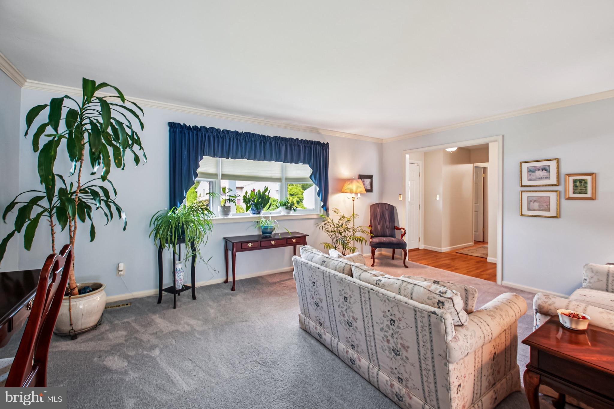 8113 Callo Lane Rosedale, MD 21237 - Photo 5 of 32 a living room with furniture and a potted plant
