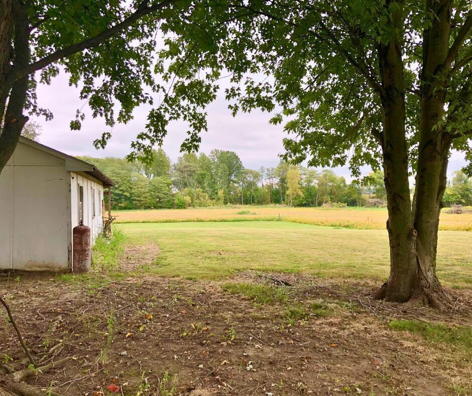 10164 Ashley Road Ashley, OH 43003 - Photo 11 of 19 Spacious yard