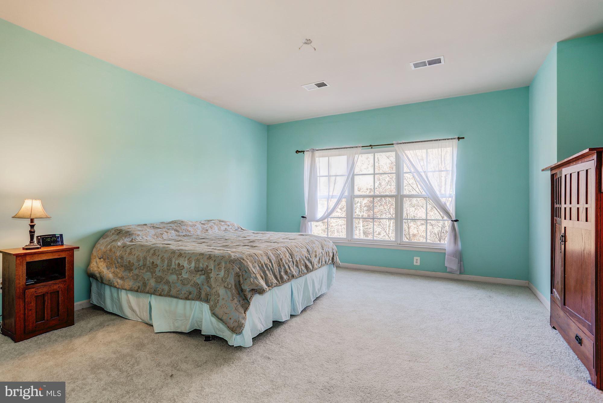 9029 Roaring Spring Loop Bristow, VA 20136 - Photo 16 of 28 Large Master Bedroom with Two walk-in closets