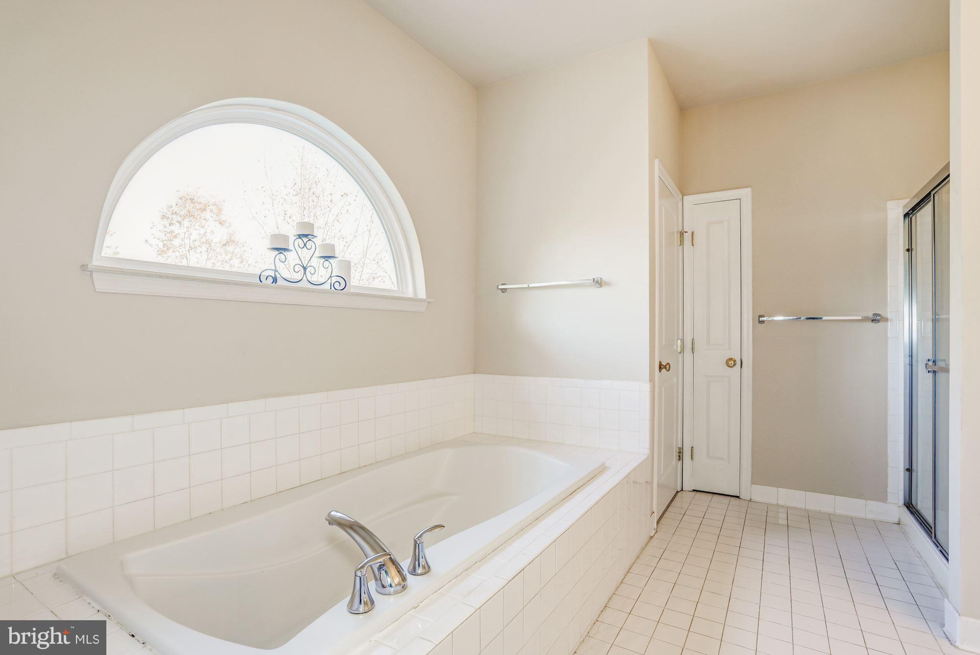 9029 Roaring Spring Loop Bristow, VA 20136 - Photo 17 of 28 Master Bath with Soaking Tub