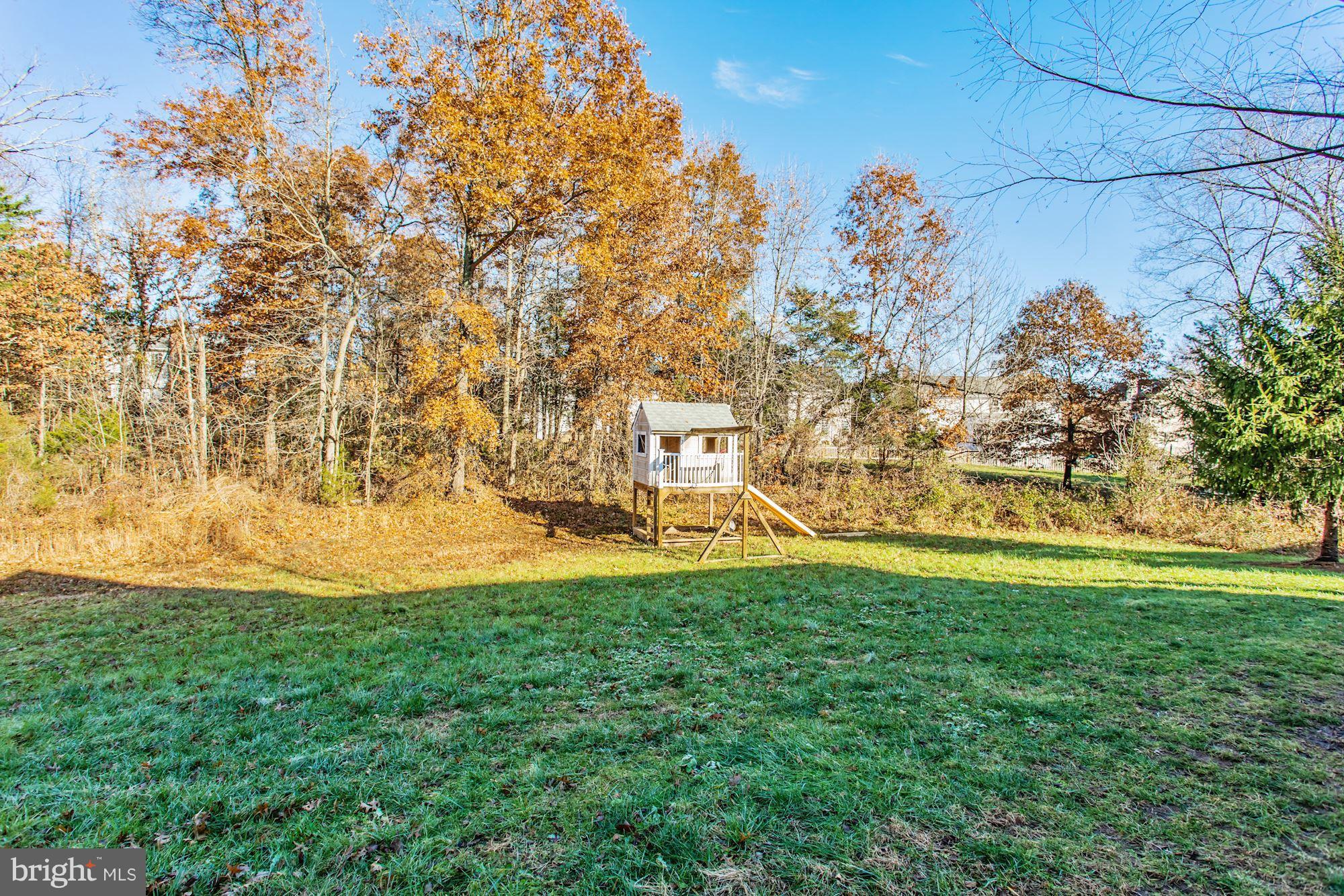 9029 Roaring Spring Loop Bristow, VA 20136 - Photo 28 of 28 Beautiful premium lot backing to trees