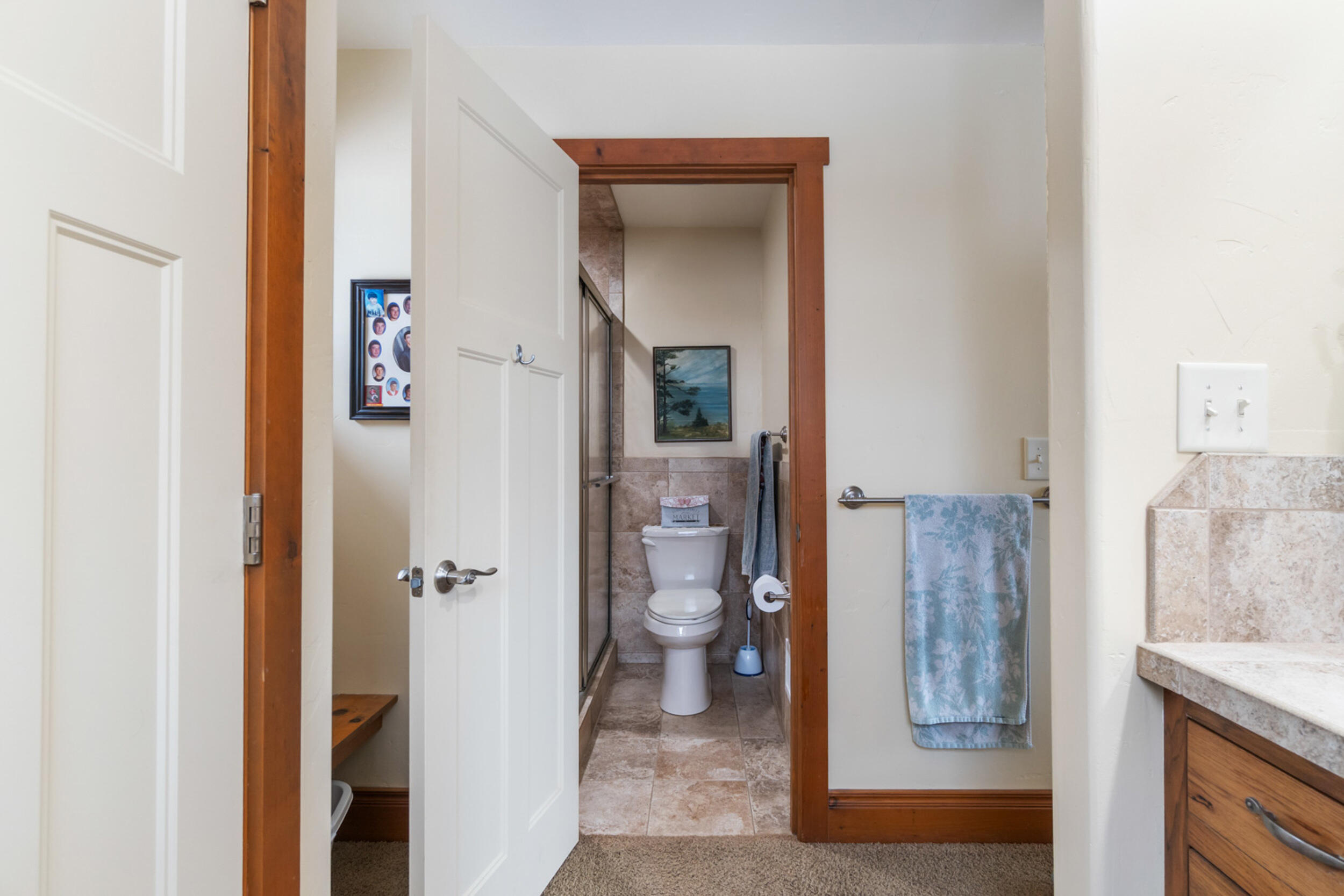 244 Custer Drive Coldwater, MI 49036 - Photo 40 of 59 42_244 custer dr coodwater mi - 00029