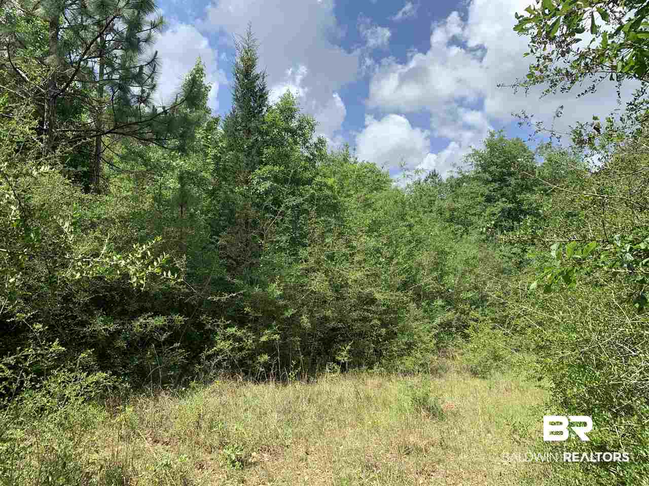 27265 Glass Road Robertsdale, AL 36567 - Photo 2 of 6