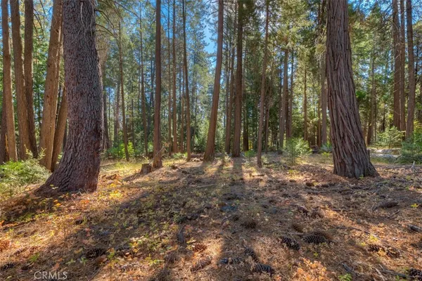 $54,950 | 0 Fern Glenn Way, Magalia, CA 95954