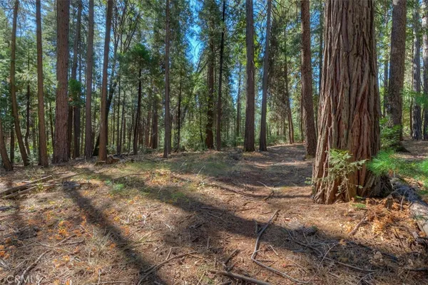 $54,950 | 0 Fern Glenn Way, Magalia, CA 95954