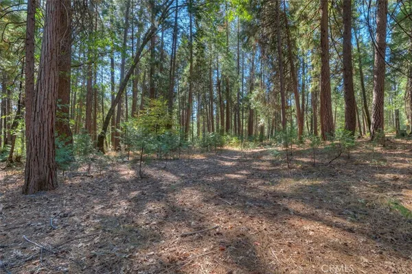 $54,950 | 0 Fern Glenn Way, Magalia, CA 95954