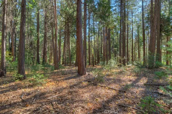 $54,950 | 0 Fern Glenn Way, Magalia, CA 95954
