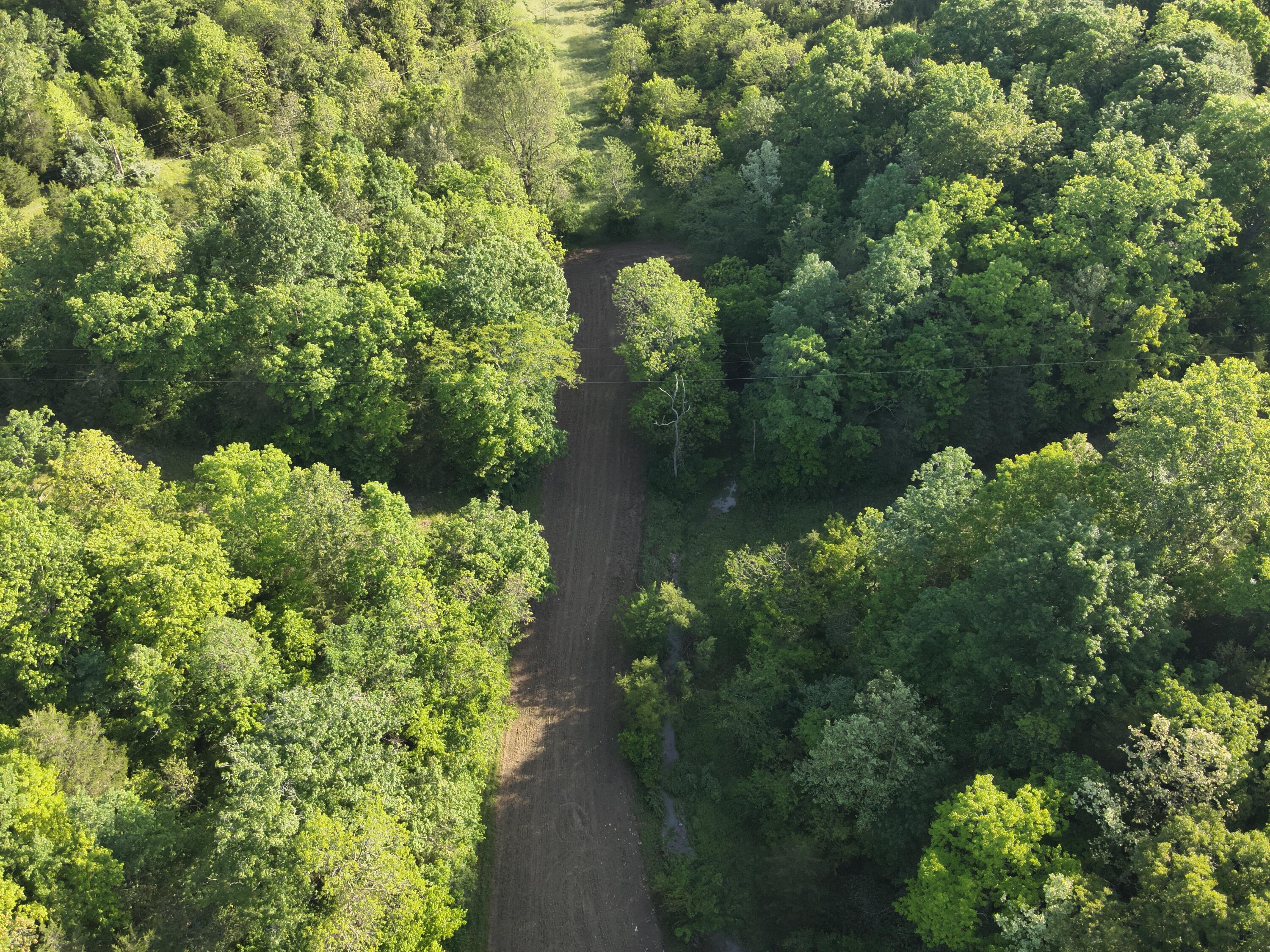 0 Mann Road Mount Olivet, KY 41064 - Photo 18 of 46