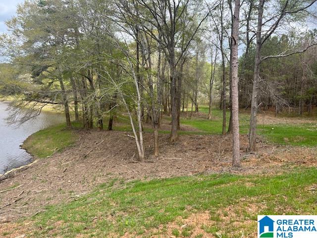 Watershed Road, Unit 46 Cragford, AL 36255 - Photo 10 of 11 Gallery Image 10