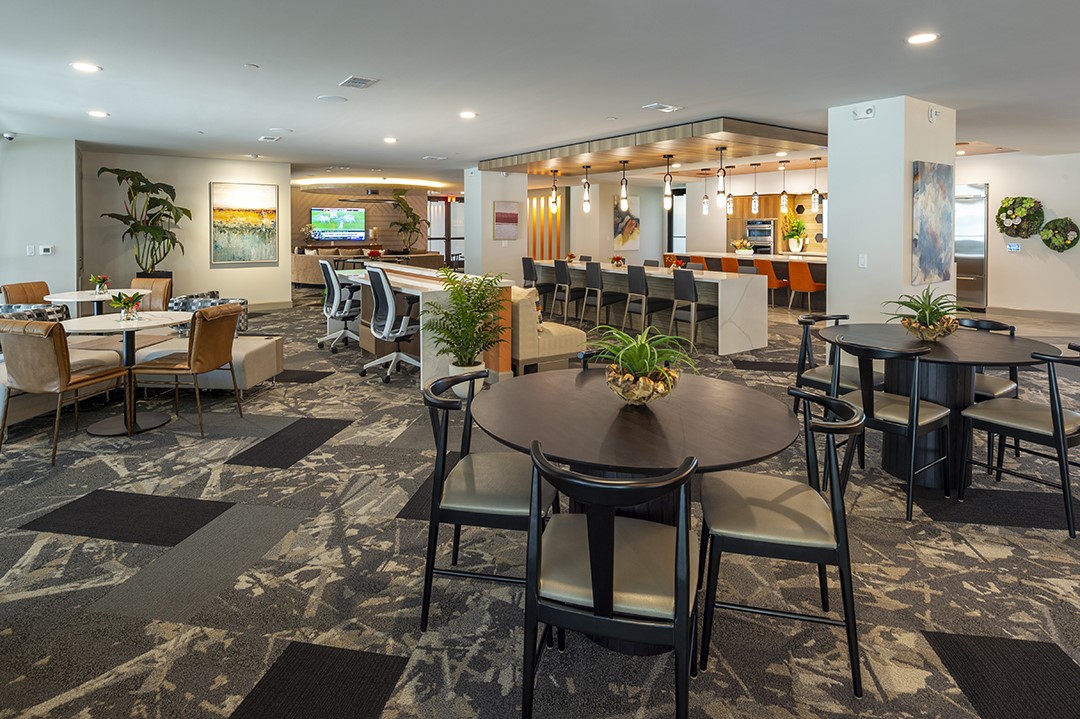 1724 Partnership Way, Unit 1439 Katy, TX 77449 - Photo 10 of 31 Lounge seating common area