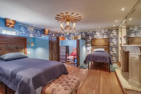 a view of a garden with plants and large trees