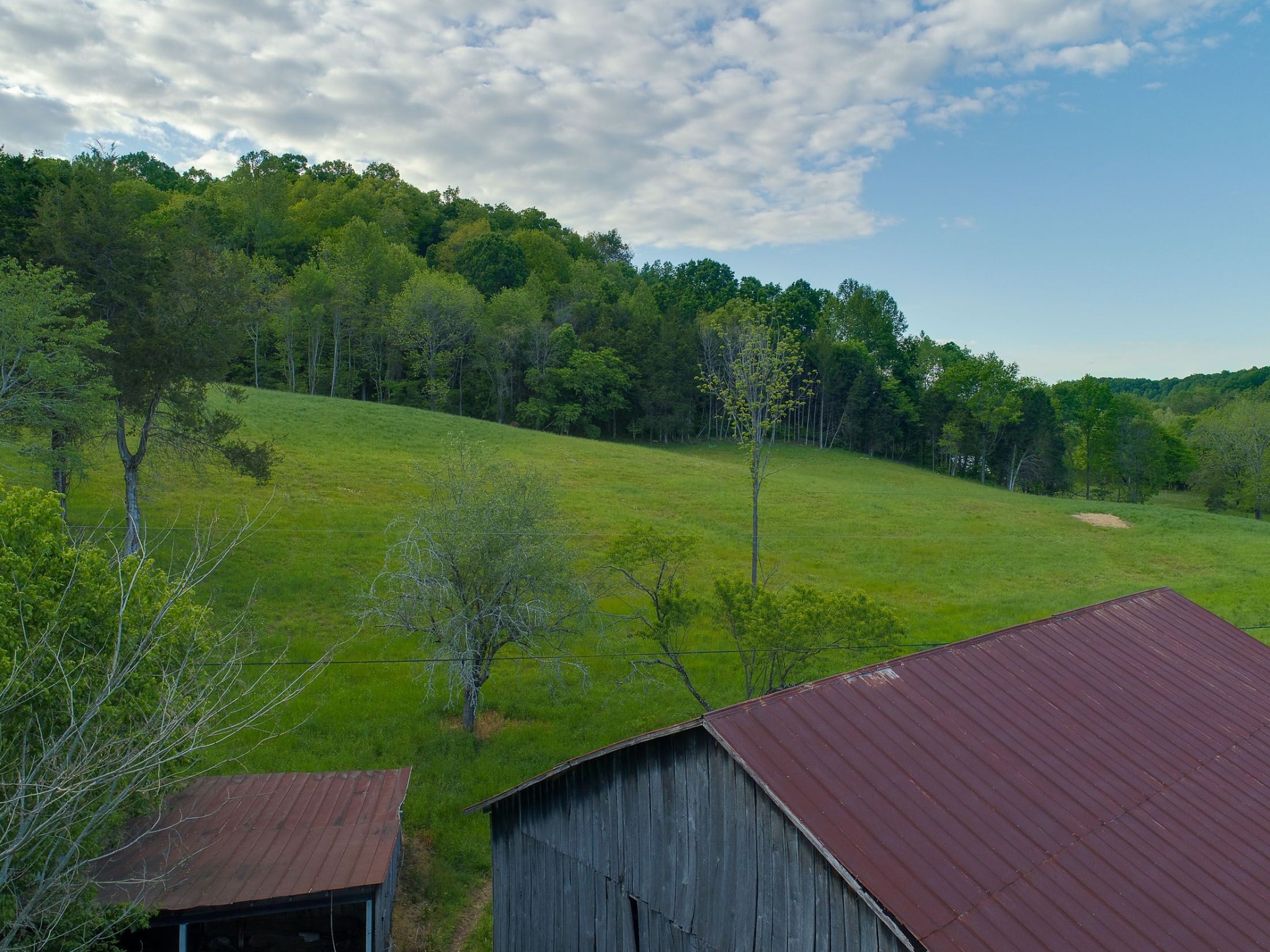 1041 Carr Creek Road Normandy, TN 37360 - Photo 13 of 33 Gallery Image 13