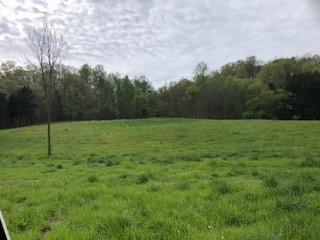 1041 Carr Creek Road Normandy, TN 37360 - Photo 21 of 33 Gallery Image 21