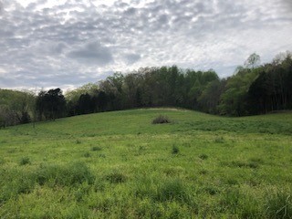 1041 Carr Creek Road Normandy, TN 37360 - Photo 23 of 33 Gallery Image 23