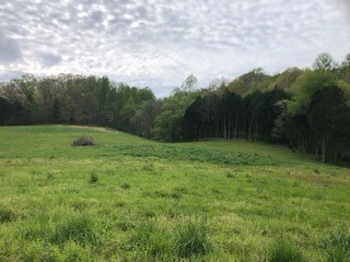 1041 Carr Creek Road Normandy, TN 37360 - Photo 24 of 33 Gallery Image 24