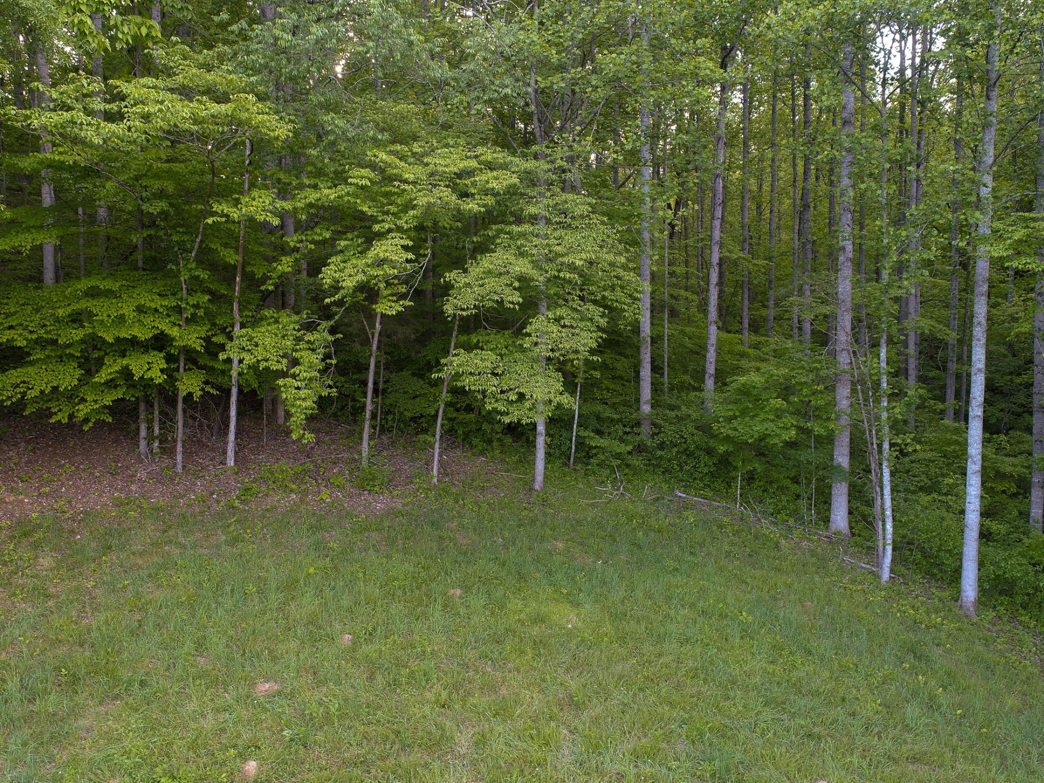 1041 Carr Creek Road Normandy, TN 37360 - Photo 30 of 33 Gallery Image 30