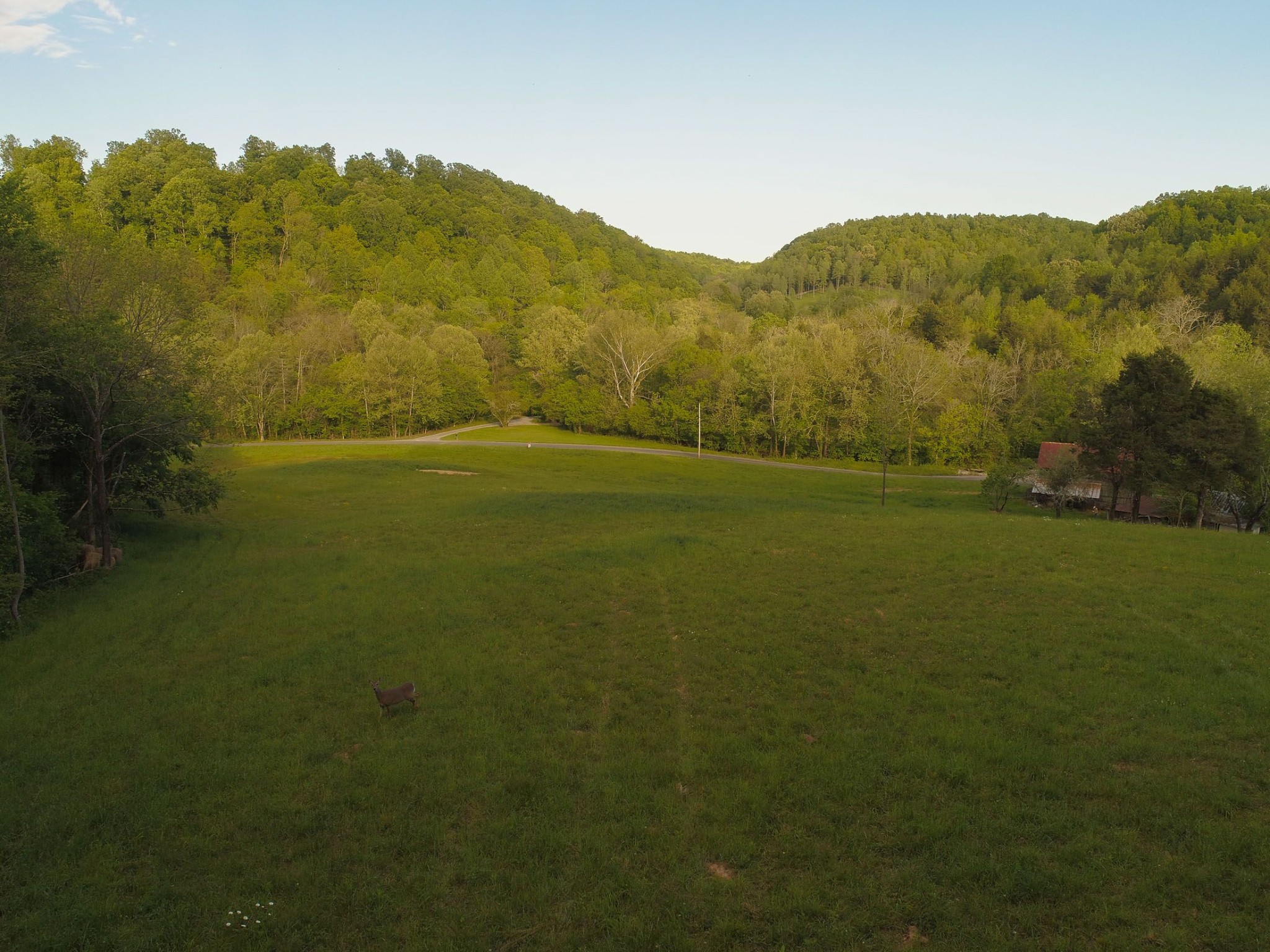 1041 Carr Creek Road Normandy, TN 37360 - Photo 6 of 33 Gallery Image 6