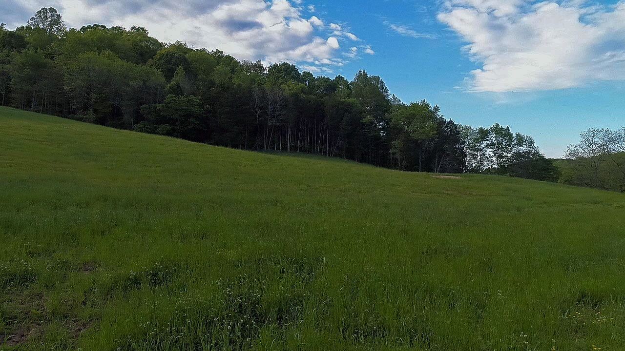 1041 Carr Creek Road Normandy, TN 37360 - Photo 7 of 33 Gallery Image 7