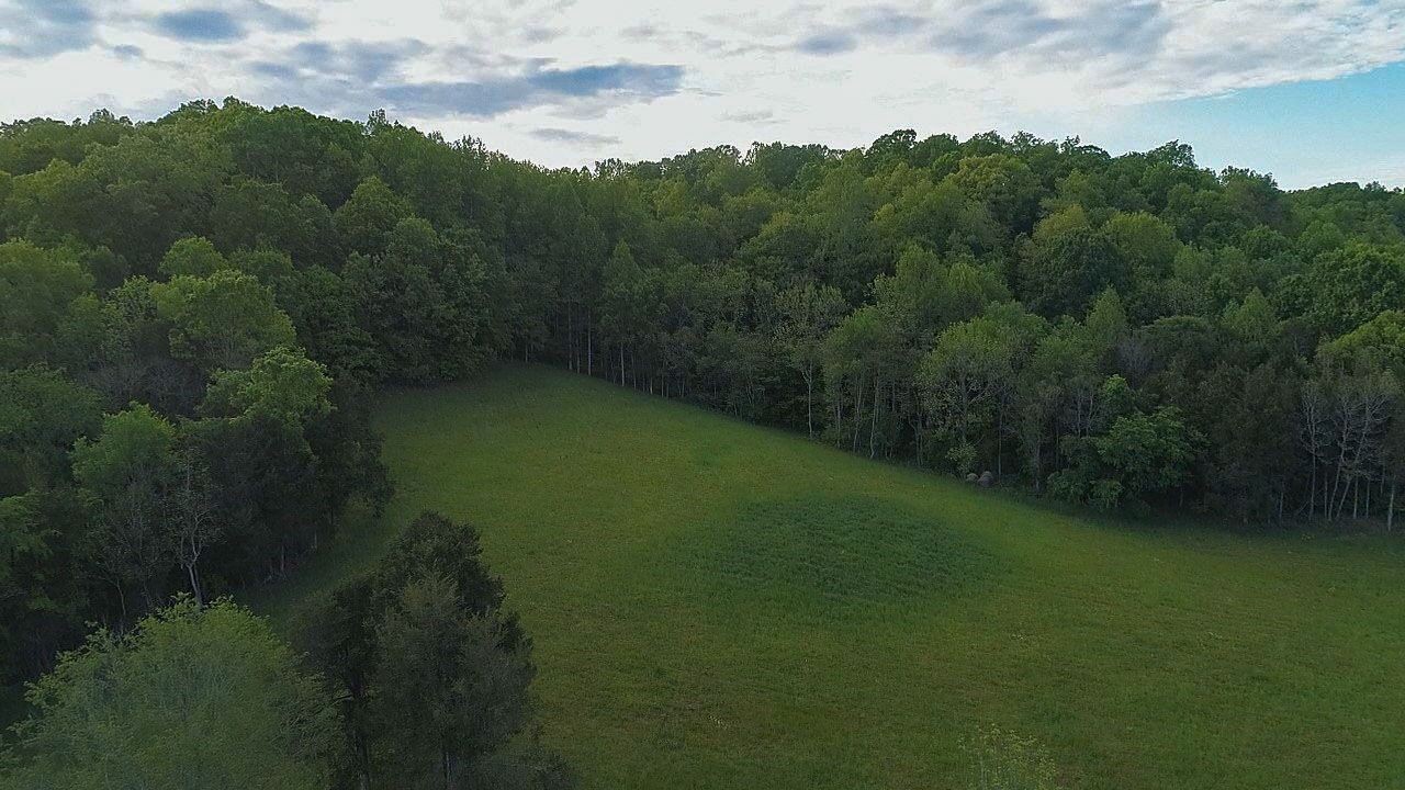 1041 Carr Creek Road Normandy, TN 37360 - Photo 8 of 33 Gallery Image 8