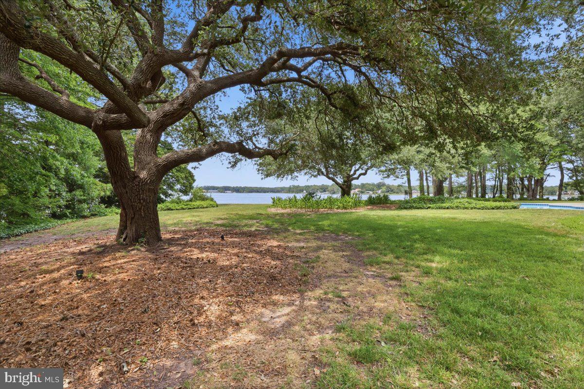 1242 North Inlynnview Road Virginia Beach, VA 23454 - Photo 45 of 50