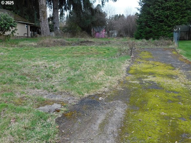 959 Rose Avenue Vernonia, OR 97064 - Photo 12 of 13 a view of a yard with a tree