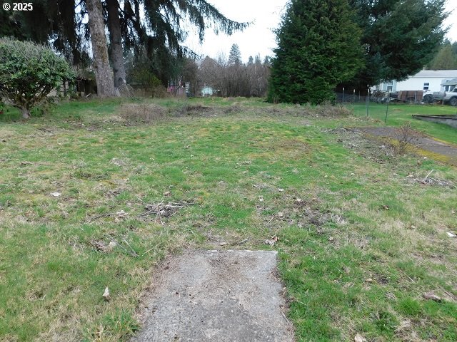 959 Rose Avenue Vernonia, OR 97064 - Photo 6 of 13 a view of outdoor space with trees all around