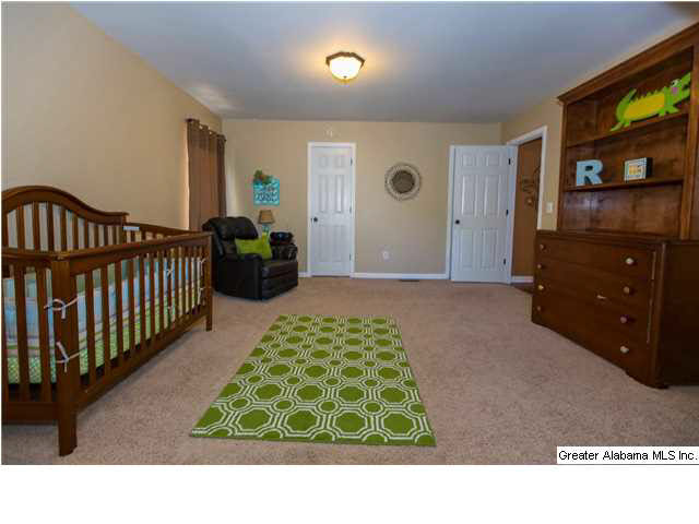 270 John Circle Springville, AL 35146 - Photo 15 of 28