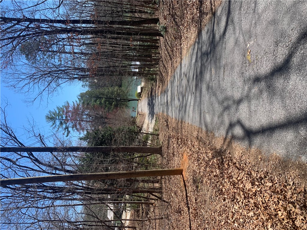 0 Bauknight Road Mountain Rest, SC 29664 - Photo 1 of 6