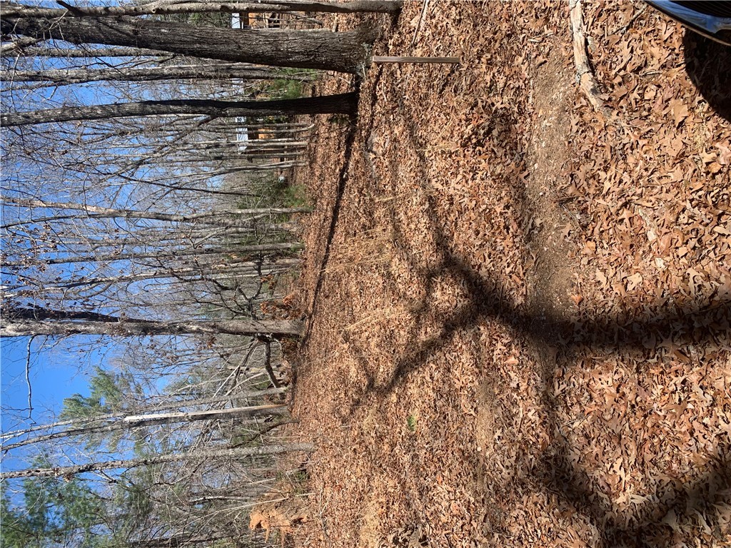 0 Bauknight Road Mountain Rest, SC 29664 - Photo 2 of 6