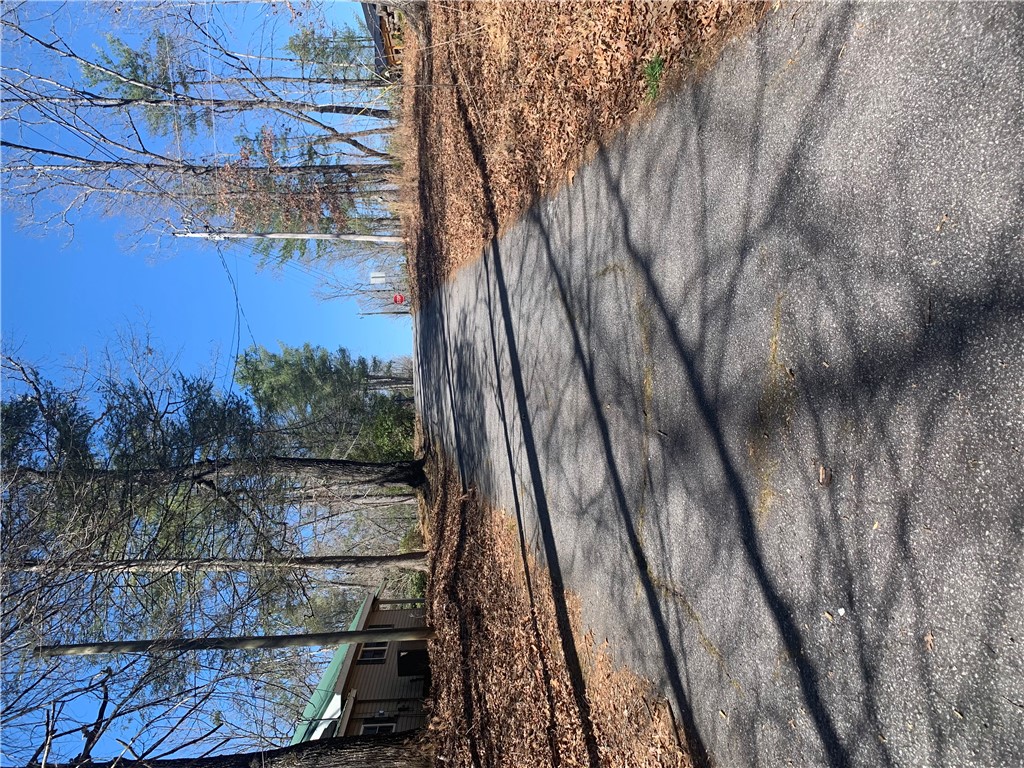 0 Bauknight Road Mountain Rest, SC 29664 - Photo 3 of 6