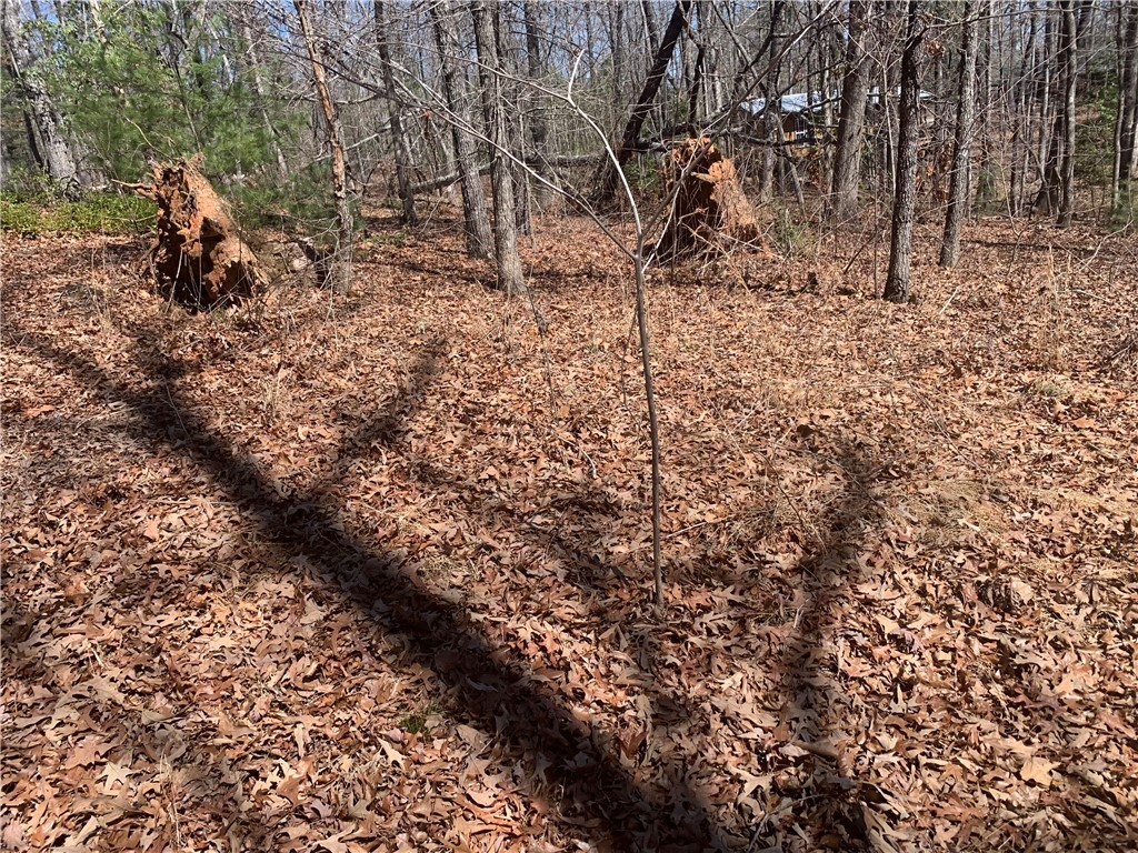 0 Bauknight Road Mountain Rest, SC 29664 - Photo 4 of 6