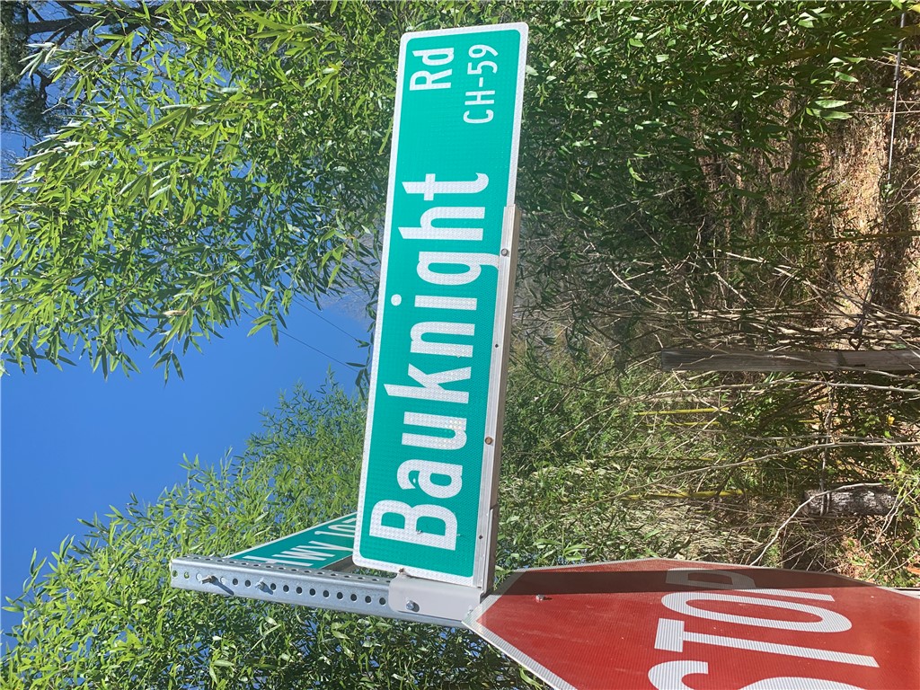 0 Bauknight Road Mountain Rest, SC 29664 - Photo 5 of 6