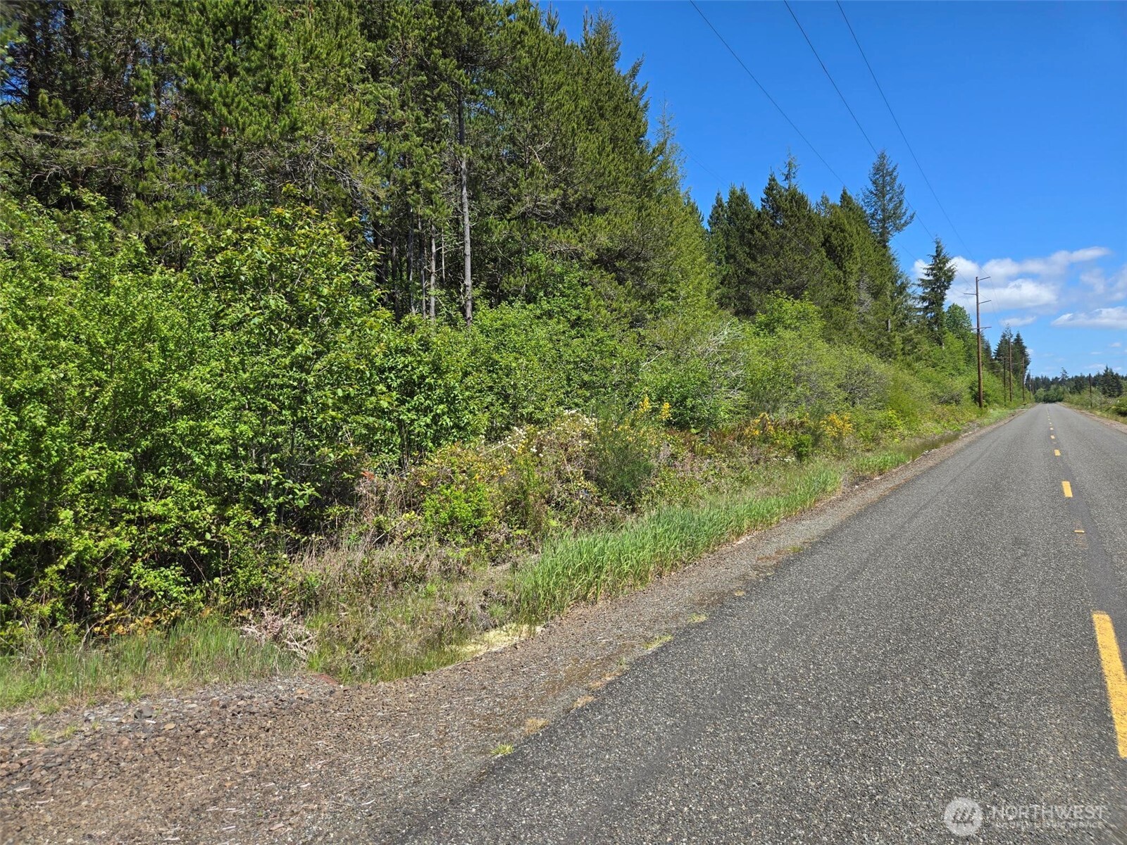 256 Walker Road Hoquiam, WA 98550 - Photo 1 of 12 a view of a garden