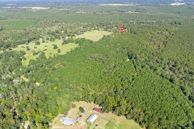 a view of a fireplace with a tree