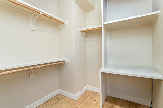 a view of a yard with plants and tree