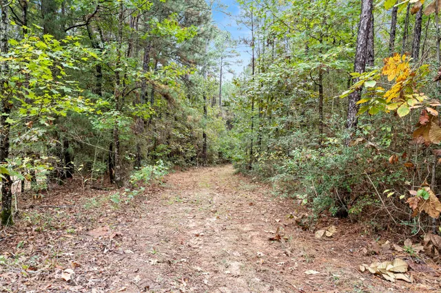 $649,999 | 610 Private Road 5130, Woodville, TX 75979