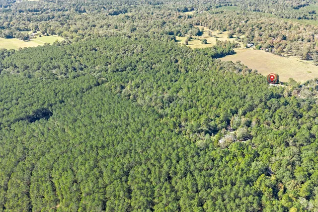 $649,999 | 610 Private Road 5130, Woodville, TX 75979