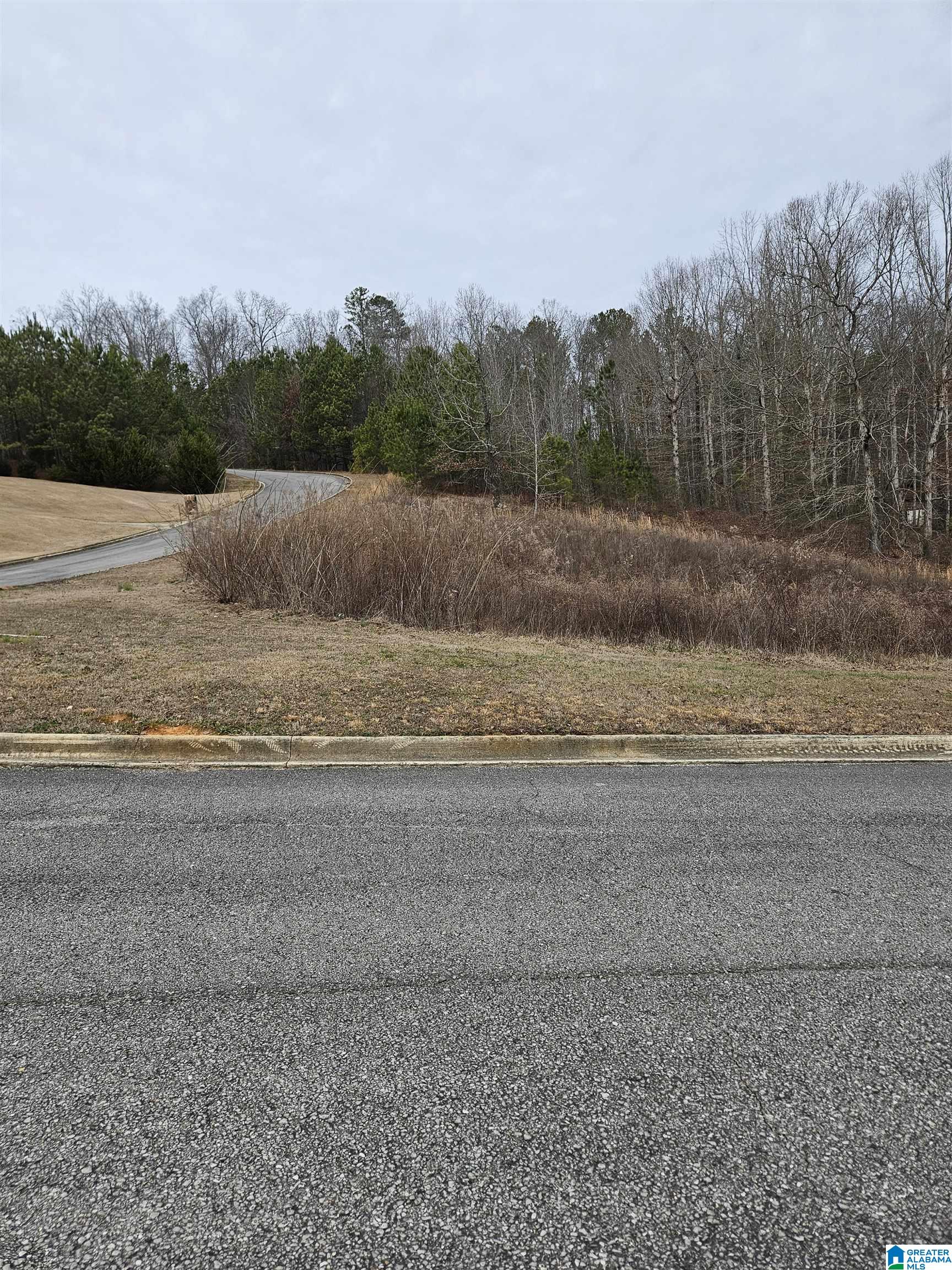 45 Joshua Way, Unit 5 Springville, AL 35146 - Photo 4 of 5
