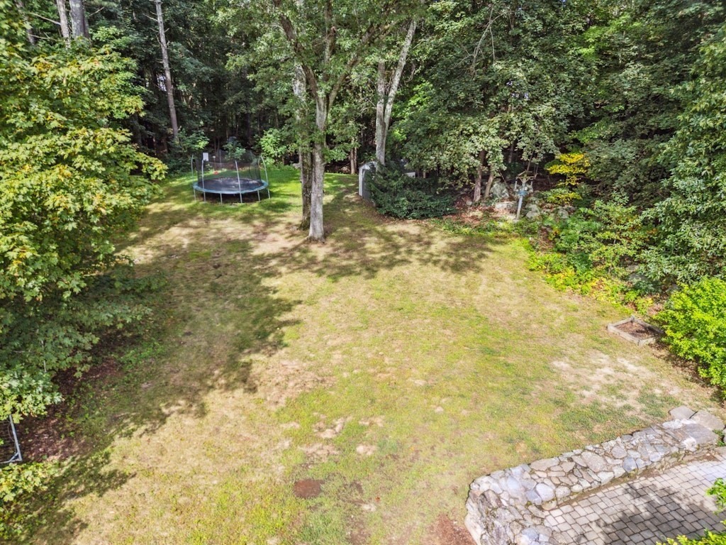 54 Mohawk Drive Acton, MA 01720 - Photo 39 of 42 a view of yard with trees
