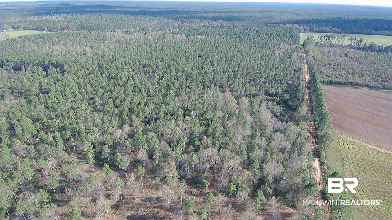3 Red Cloud Road Baker, FL 32531 - Photo 8 of 14