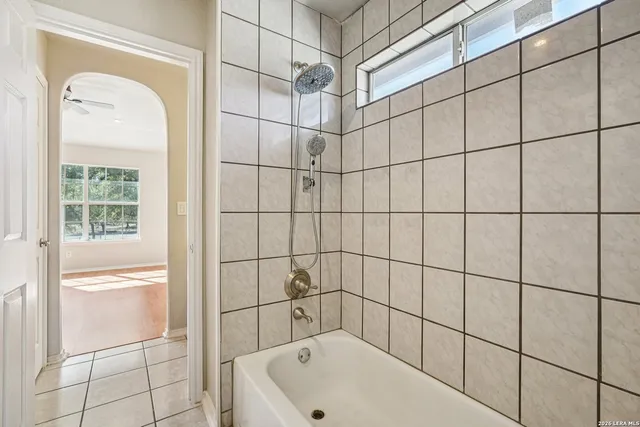 a view of a yard with plants and trees