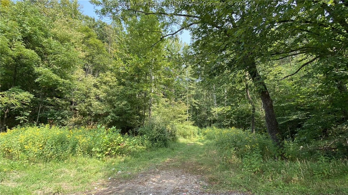0 Parsoner Creek Road Griffithsville, WV 25521 - Photo 18 of 27 Gallery Image 18
