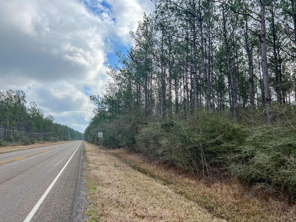 3 Fm 421 Kountze, TX 77625 - Photo 11 of 18 a view of a forest with trees in the background
